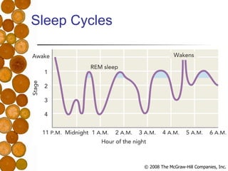Sleep Cycles 