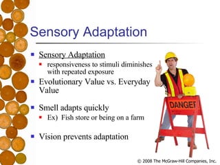 Sensory Adaptation <ul><li>Sensory Adaptation   </li></ul><ul><ul><li>responsiveness to stimuli diminishes with repeated e...
