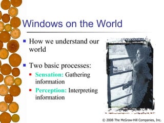 Windows on the World <ul><li>How we understand our world </li></ul><ul><li>Two basic processes: </li></ul><ul><ul><li>Sens...