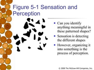 Figure 5-1 Sensation and Perception <ul><li>Can you identify anything meaningful in these patterned shapes? </li></ul><ul>...