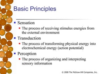 Basic Principles <ul><li>Sensation </li></ul><ul><ul><li>The process of receiving stimulus energies from the external envi...