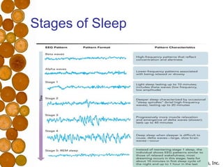 Stages of Sleep 