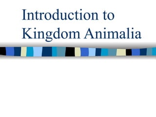 Introduction to
Kingdom Animalia
 