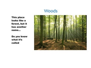 30/01/13


                 Woods
This place
looks like a
forest, but it
has another
name…

Do you know
what it’s
called?
 