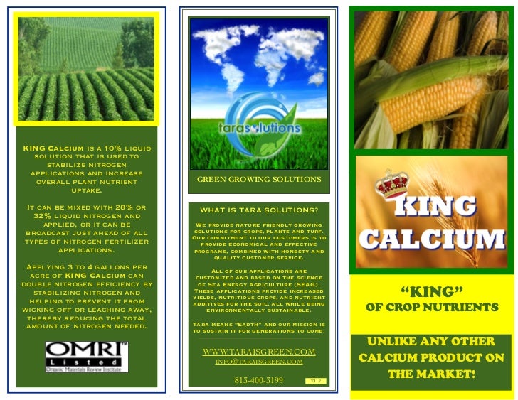 three panel brochure