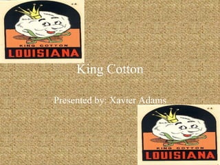 King Cotton Presented by: Xavier Adams 