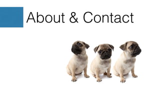 About & Contact
 