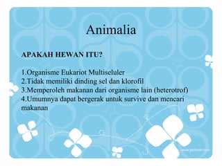 Animalia
APAKAH HEWAN ITU?
1.Organisme Eukariot Multiseluler
2.Tidak memiliki dinding sel dan klorofil
3.Memperoleh makanan dari organisme lain (heterotrof)
4.Umumnya dapat bergerak untuk survive dan mencari
makanan
 