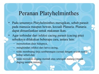 Peranan Platyhelminthes
• Pada umumnya Platyhelminthes merugikan, sebab parasit
pada manusia maupun hewan, kecuali Planaria. Planaria
dapat dimanfaatkan untuk makanan ikan.
• Agar terhindar dari infeksi cacing parasit (cacing pita)
sebaiknya dilakukan beberapa cara, antara lain:
– memutuskan daur hidupnya,
– menghindari infeksi dari larva cacing,
– tidak membuang tinja sembarangan (sesuai dengan syarat-syarat
hidup sehat),dan
– tidak memakan daging mentah atau setengah matang (masak
daging sampai matang).
 