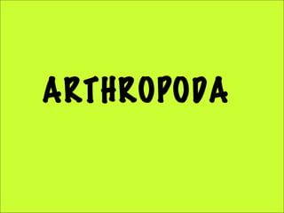 ARTHROPODA
 