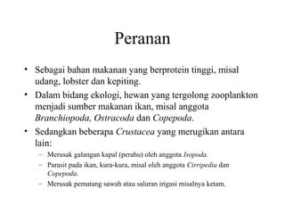 Peranan
• Sebagai bahan makanan yang berprotein tinggi, misal
udang, lobster dan kepiting.
• Dalam bidang ekologi, hewan yang tergolong zooplankton
menjadi sumber makanan ikan, misal anggota
Branchiopoda, Ostracoda dan Copepoda.
• Sedangkan beberapa Crustacea yang merugikan antara
lain:
– Merusak galangan kapal (perahu) oleh anggota Isopoda.
– Parasit pada ikan, kura-kura, misal oleh anggota Cirripedia dan
Copepoda.
– Merusak pematang sawah atau saluran irigasi misalnya ketam.
 