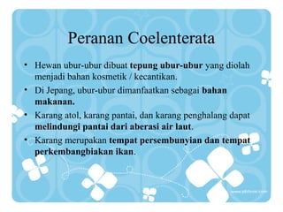Peranan Coelenterata
• Hewan ubur-ubur dibuat tepung ubur-ubur yang diolah
menjadi bahan kosmetik / kecantikan.
• Di Jepang, ubur-ubur dimanfaatkan sebagai bahan
makanan.
• Karang atol, karang pantai, dan karang penghalang dapat
melindungi pantai dari aberasi air laut.
• Karang merupakan tempat persembunyian dan tempat
perkembangbiakan ikan.
 
