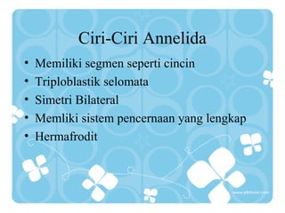 Ciri-Ciri Annelida
• Memiliki segmen seperti cincin
• Triploblastik selomata
• Simetri Bilateral
• Memliki sistem pencernaan yang lengkap
• Hermafrodit
 