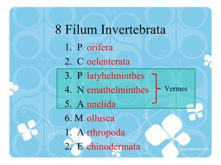 8 Filum Invertebrata
1. P
2. C
3. P
4. N
5. A
6. M
1. A
2. E
orifera
oelenterata
latyhelminthes
emathelminthes
nnelida
ollusca
rthropoda
chinodermata
Vermes
 