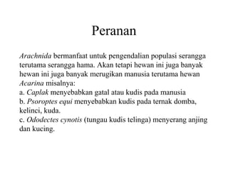 Peranan
Arachnida bermanfaat untuk pengendalian populasi serangga
terutama serangga hama. Akan tetapi hewan ini juga banyak
hewan ini juga banyak merugikan manusia terutama hewan
Acarina misalnya:
a. Caplak menyebabkan gatal atau kudis pada manusia
b. Psoroptes equi menyebabkan kudis pada ternak domba,
kelinci, kuda.
c. Ododectes cynotis (tungau kudis telinga) menyerang anjing
dan kucing.
 