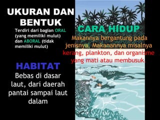 UKURAN DAN
BENTUK
Terdiri dari bagian ORAL
(yang memiliki mulut)
dan ABORAL (tidak
memiliki mulut)
CARA HIDUP
Makannya bergantung pada
jenisnya. Makanannya misalnya
kerang, plankton, dan organisme
yang mati atau membusuk.
HABITAT
Bebas di dasar
laut, dari daerah
pantai sampai laut
dalam
 