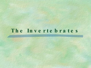 The Invertebrates 