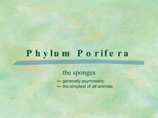 Phylum Porifera the sponges generally asymmetric the simplest of all animals 