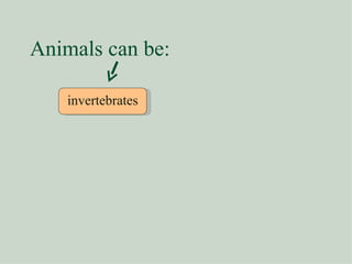 Animals can be: invertebrates 