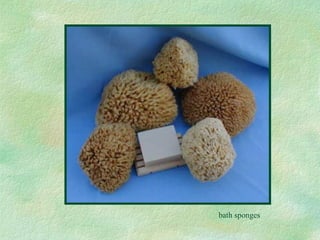 bath sponges 