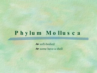 Phylum Mollusca soft-bodied some have a shell 