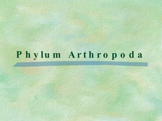 Phylum Arthropoda 