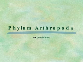 Phylum Arthropoda exoskeleton 