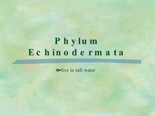 Phylum Echinodermata live in salt water 