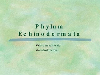 Phylum Echinodermata live in salt water endoskeleton 