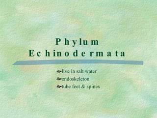Phylum Echinodermata live in salt water endoskeleton tube feet & spines 