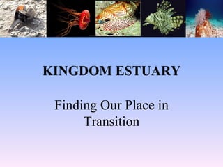 KINGDOM ESTUARY Finding Our Place in Transition 