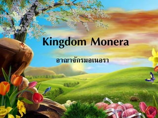 Kingdom Monera
อาณาจักรมอเนอรา
 