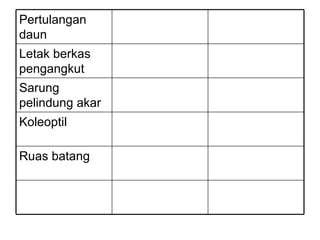 Pertulangan
daun
Letak berkas
pengangkut
Sarung
pelindung akar
Koleoptil

Ruas batang
 