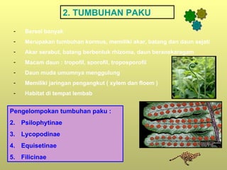 2. TUMBUHAN PAKU
 -   Bersel banyak
 -   Merupakan tumbuhan kormus, memiliki akar, batang dan daun sejati
 -   Akar serabut, batang berbentuk rhizoma, daun beranekaragam
 -   Macam daun : tropofil, sporofil, troposporofil
 -   Daun muda umumnya menggulung
 -   Memiliki jaringan pengangkut ( xylem dan floem )
 -   Habitat di tempat lembab


Pengelompokan tumbuhan paku :
2. Psilophytinae
3. Lycopodinae
4. Equisetinae
5. Filicinae
 