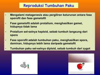 Reproduksi Tumbuhan Paku

-   Mengalami metagenesis atau pergiliran keturunan antara fase
    sporofit dan fase gametofit
-   Fase gametofit adalah protalium, menghasilkan gamet,
    hidupnya tidak lama
-   Protalium sel-selnya haploid, sebab tumbuh langsung dari
    spora
-   Fase sporofit adalah tumbuhan paku, menghasilkan spora,
    dominan, hidupnya lebih lama daripada gametofit
-   Tumbuhan paku sel-selnya diploid, sebab tumbuh dari zygot
 