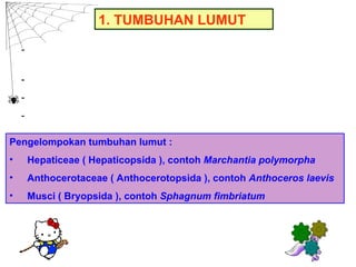 1. TUMBUHAN LUMUT

    -     Merupakan tumbuhan peralihan antara thallophyta dan
          kormophyta
    -     Akar, batang dan daun masih sederhana
    -     Tidak memiliki jaringan pengangkut ( xylem dan floem )
    -     Habitat di tempat lembab

Pengelompokan tumbuhan lumut :
•       Hepaticeae ( Hepaticopsida ), contoh Marchantia polymorpha
•       Anthocerotaceae ( Anthocerotopsida ), contoh Anthoceros laevis
•       Musci ( Bryopsida ), contoh Sphagnum fimbriatum
 