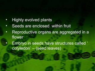 5. Division – Angiosperm
• Highly evolved plants
• Seeds are enclosed within fruit
• Reproductive organs are aggregated in a
flower
• Embryo in seeds have structures called ‘
cotyledon’ – (seed leaves)
 