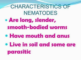 CHARACTERISTICS OF
     NEMATODES
 Are long, slender,
 smooth-bodied worms
 Have mouth and anus
 Live in soil and some are
 parasitic
 