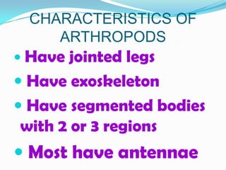CHARACTERISTICS OF
    ARTHROPODS
 Have  jointed legs
 Have exoskeleton
 Have segmented bodies
 with 2 or 3 regions
 Most have antennae
 