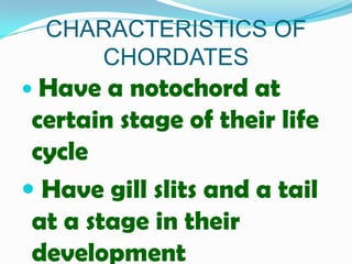 CHARACTERISTICS OF
     CHORDATES
 Have  a notochord at
 certain stage of their life
 cycle
 Have gill slits and a tail
 at a stage in their
 development
 