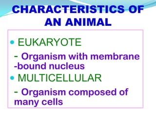 CHARACTERISTICS OF
    AN ANIMAL
 EUKARYOTE
 - Organism with membrane
 -bound nucleus
 MULTICELLULAR
 - Organism composed of
 many cells
 
