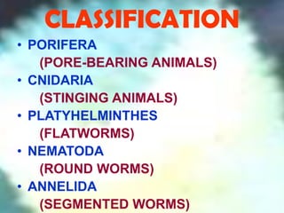 CLASSIFICATION
• PORIFERA
   (PORE-BEARING ANIMALS)
• CNIDARIA
   (STINGING ANIMALS)
• PLATYHELMINTHES
   (FLATWORMS)
• NEMATODA
   (ROUND WORMS)
• ANNELIDA
   (SEGMENTED WORMS)
 