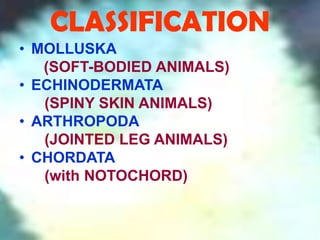 CLASSIFICATION
• MOLLUSKA
   (SOFT-BODIED ANIMALS)
• ECHINODERMATA
   (SPINY SKIN ANIMALS)
• ARTHROPODA
   (JOINTED LEG ANIMALS)
• CHORDATA
   (with NOTOCHORD)
 