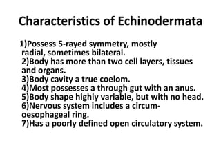 Characteristics of Echinodermata
1)Possess 5-rayed symmetry, mostly
radial, sometimes bilateral.
2)Body has more than two cell layers, tissues
and organs.
3)Body cavity a true coelom.
4)Most possesses a through gut with an anus.
5)Body shape highly variable, but with no head.
6)Nervous system includes a circum-
oesophageal ring.
7)Has a poorly defined open circulatory system.
 