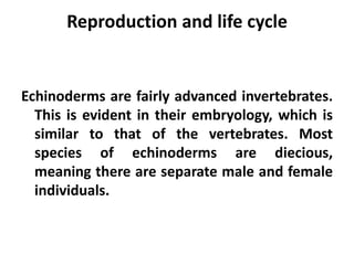 Reproduction and life cycle


Echinoderms are fairly advanced invertebrates.
  This is evident in their embryology, which is
  similar to that of the vertebrates. Most
  species of echinoderms are diecious,
  meaning there are separate male and female
  individuals.
 