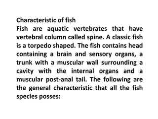 Characteristic of fish
Fish are aquatic vertebrates that have
vertebral column called spine. A classic fish
is a torpedo shaped. The fish contains head
containing a brain and sensory organs, a
trunk with a muscular wall surrounding a
cavity with the internal organs and a
muscular post-anal tail. The following are
the general characteristic that all the fish
species posses:
 