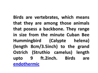 Birds are vertebrates, which means
that they are among those animals
that posess a backbone. They range
in size from the minute Cuban Bee
Hummingbird       (Calypte    helena)
(length 8cm/3.5inch) to the grand
Ostrich (Struthio camelus) length
upto     9   ft.2inch.    Birds   are
endothermic
 