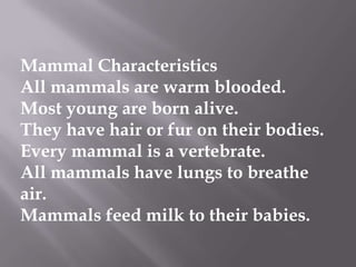 Mammal Characteristics
All mammals are warm blooded.
Most young are born alive.
They have hair or fur on their bodies.
Every mammal is a vertebrate.
All mammals have lungs to breathe
air.
Mammals feed milk to their babies.
 