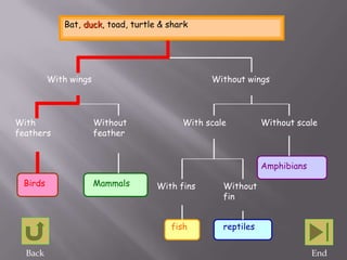 Bat, duck, toad, turtle & shark




         With wings                            Without wings




With                  Without            With scale          Without scale
feathers              feather


                                                             Amphibians

 Birds                Mammals      With fins      Without
                                                  fin


                                      fish        reptiles


  Back                                                                    End
 