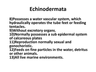 Echinodermata
8)Possesses a water vascular system, which
hydraulically operates the tube feet or feeding
tentacles.
9)Without excretory organs.
10)Normally possesses a sub epidermal system
of calcareous plates
11)Reproduction normally sexual and
gonochoristic.
12)Feeds on fine particles in the water, detritus
or other animals.
13)All live marine environments.
 